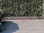 Immagine 20