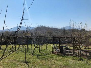 Grottaferrata terreno agricolo in Via Tuscolana