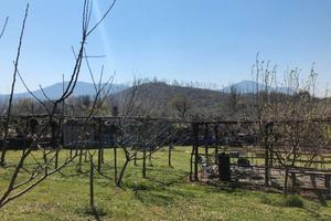 Grottaferrata terreno agricolo in Via Tuscolana