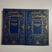 notte-dame de Paris, Victor Hugo 