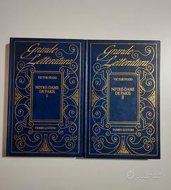 notte-dame de Paris, Victor Hugo 
