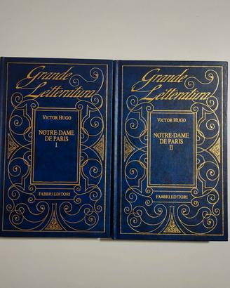 notte-dame de Paris, Victor Hugo 