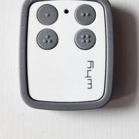 Radiocomando Why Evo 