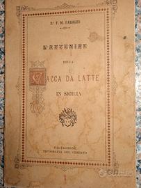 vacca da latte in sicilia