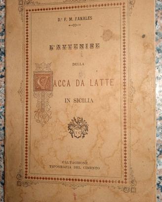 vacca da latte in sicilia