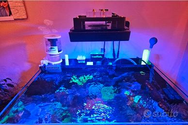 lampada acquario marino 