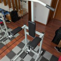 Power Tower: sedia romana, trazioni, dip