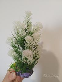 decorazione per acquario