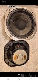 Woofer della DAD