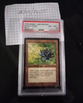 Magic the gathering 