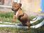 Immagine 28