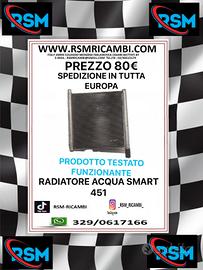 RADIATORE ACQUA SMART 451