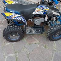 quad mini