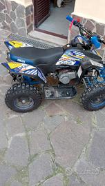 quad mini