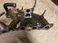 Immagine 4