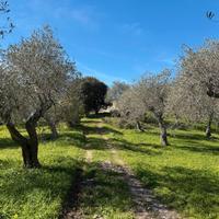 Strada vicinale crabulazzi