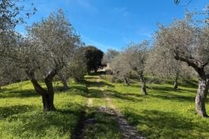 Strada vicinale crabulazzi