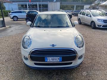 Mini 1.5 One D
