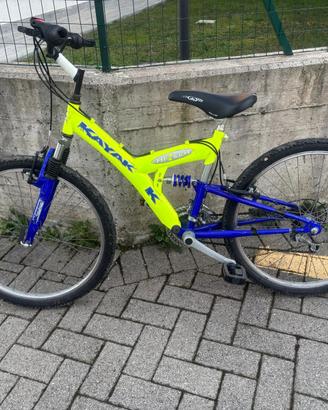 Bicicletta Kayak