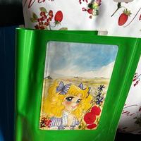 Candy Candy copertina copri quadernone