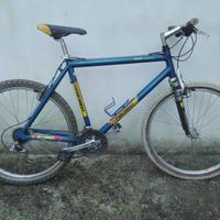 Bicicletta MTB