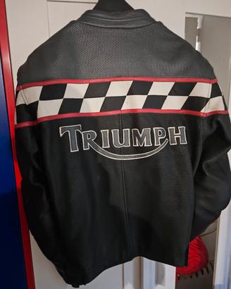Giacca Triumph estiva
