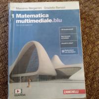 Matematica multimediale.blu 1 (1° superiore)