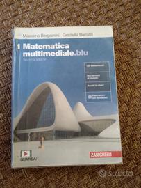 Matematica multimediale.blu 1 (1° superiore)