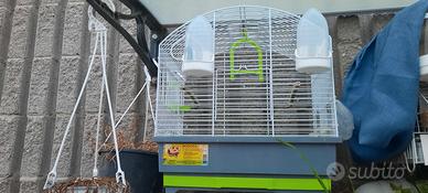 gabbia per uccellini 