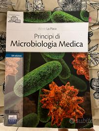 Principi di microbiologia medica, La Placa