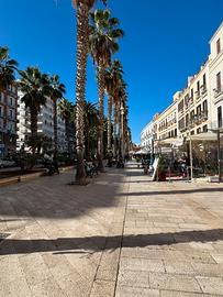 Attivita commerciale ristorativa