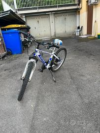 Bicicletta