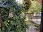 Immagine 28