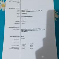  Lavoro domestico, pulizia,