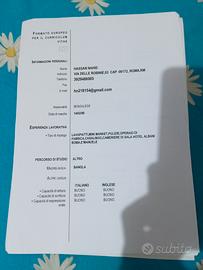  Lavoro domestico, pulizia,