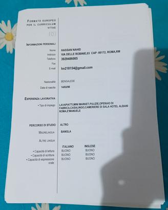  Lavoro domestico, pulizia,