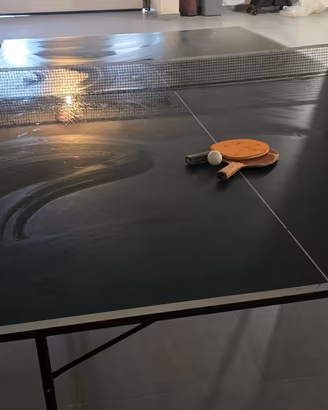 tavolo da ping pong