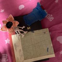 Libro stranger things