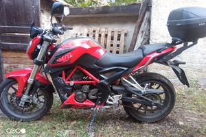Benelli