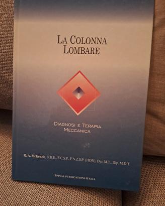 la colonna lombare- diagnosi e terapia R.McKenzie 