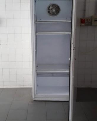 Frigorifero verticale iarP bianco