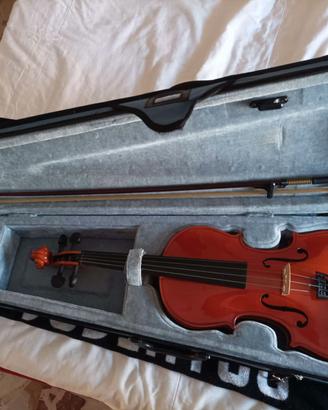 Violino con i rispettivi libri 
