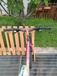 MTB donna bambino 