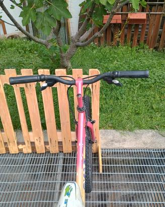 MTB donna bambino 