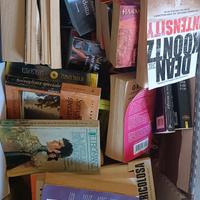 libri/romanzi 