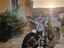 Immagine 3