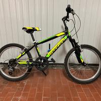 Bici Bimbo MTB Montana 20”