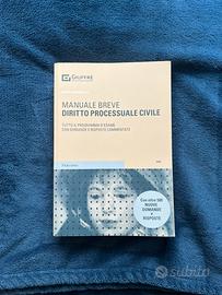 Diritto processuale civile