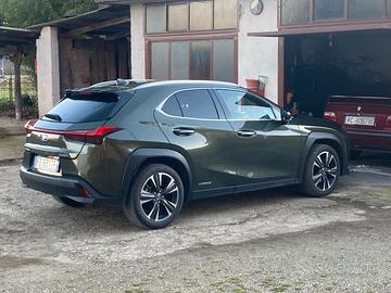 LEXUS UX 250 H