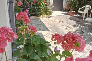 16--31 LUGLIO per INTERO in CENTRO 50mt dal MARE